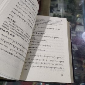 格萨尔词典 (藏汉双解)