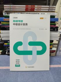 （原版）会计专业技术中级资格考试辅导用书 斯维导图 中级会计实务（无笔迹）