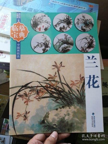 临摹宝典中国画技法：兰花