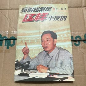 冤假错案是这样平反的（内页全新）