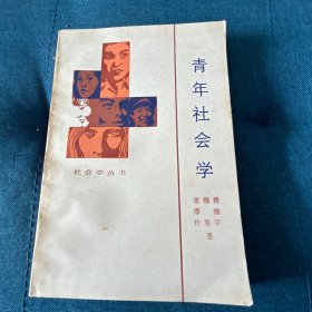 青年社会学