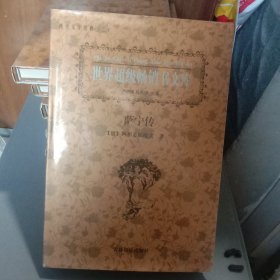 世界超级畅销书文库 萨宁传