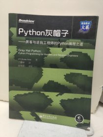 Python灰帽子：黑客与逆向工程师的Python编程之道