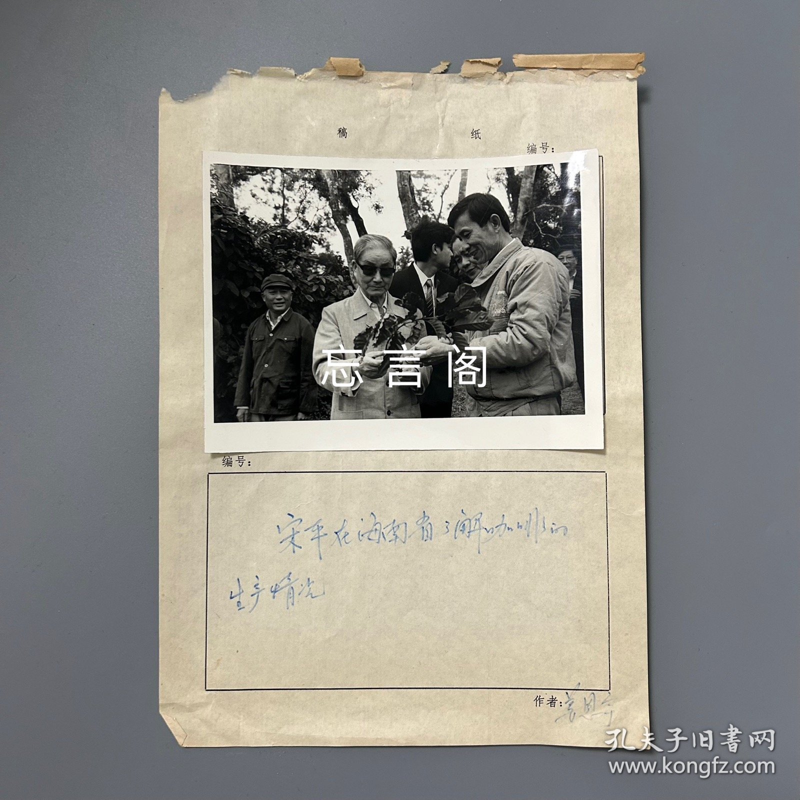 【老照片】新华社《瞭望周刊》旧藏照片底稿：宋平在海南省了解咖啡的生产情况 黑白照片1枚（大尺寸，清晰原照，姜恩宇摄影）