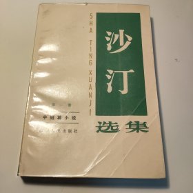 沙汀选集 第一卷