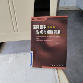 国际资本形成与经济发展——金融与经济发展研究文丛