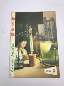 科学画报1963年3