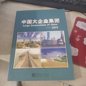 2003年中国大企业集团