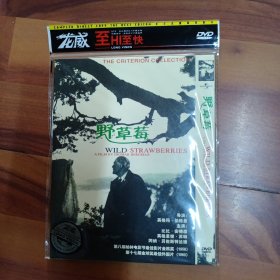 DVD野草莓