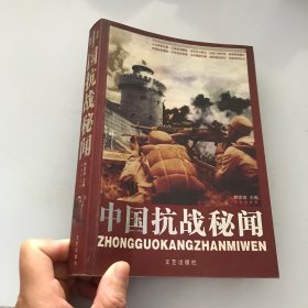 中国抗战秘闻