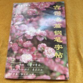 古词名篇钢笔字帖