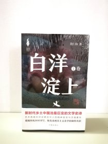 白洋淀上，作者关仁山，书写新时代的雄安建设和乡村振兴的山乡巨变