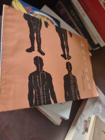 新编经穴解剖图