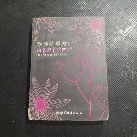 致我的男友3