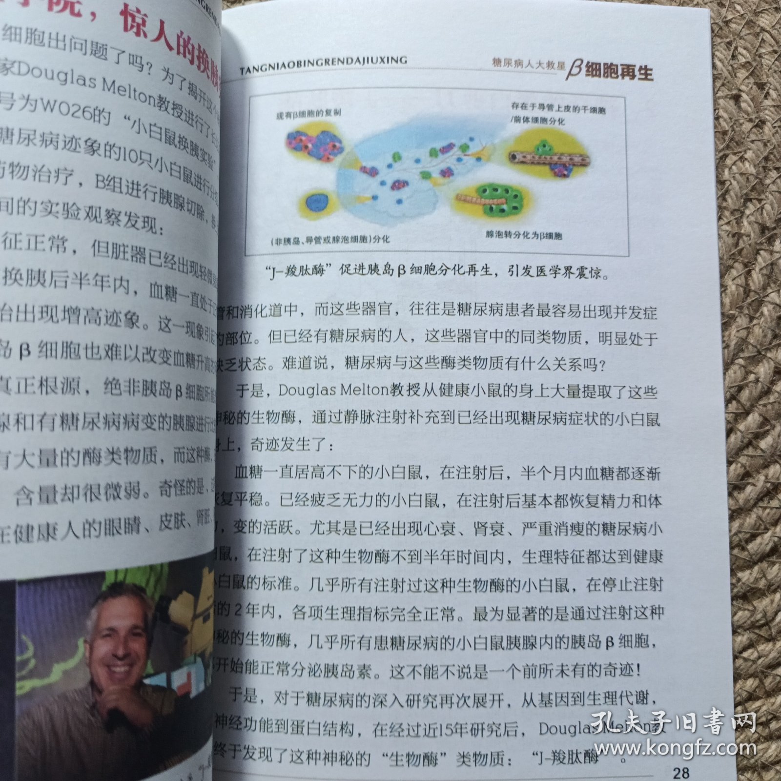 胰岛再生糖尿病人的大救星