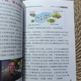 胰岛再生糖尿病人的大救星