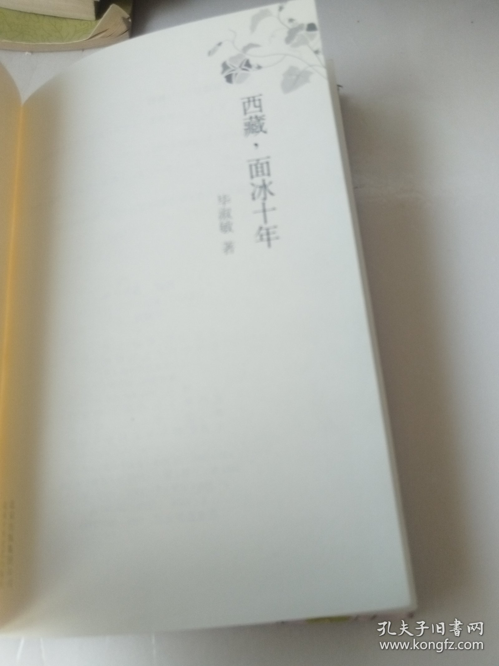 西藏，面冰十年