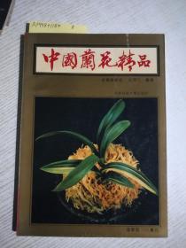中国兰花精品:投资与栽培