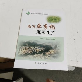 南方单季稻规模生产