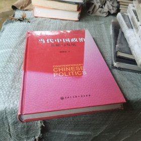 当代中国政治 基础与发展/中国发展道路丛书·政治卷
