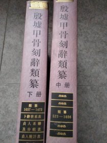 殷墟甲骨刻辞类纂（中，下），没有上册