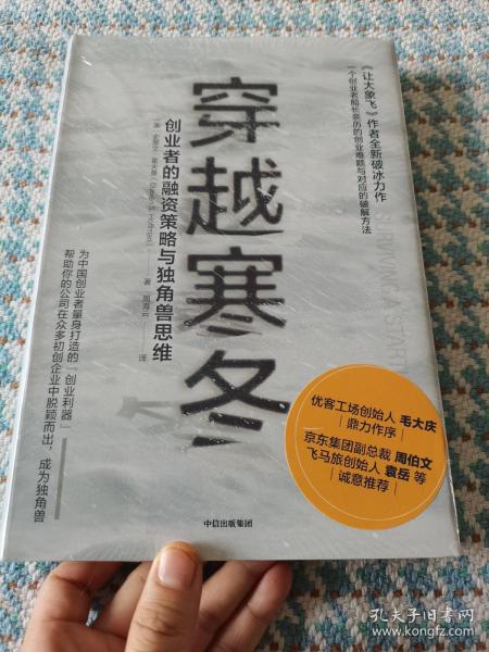 穿越寒冬:《让大象飞》作者的全新破冰力作