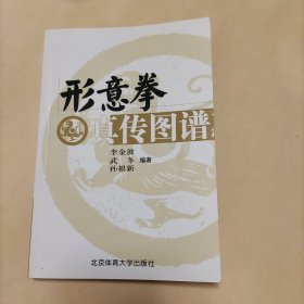 形意拳真传图谱