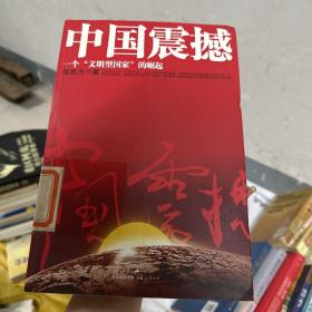 中国震撼：一个“文明型国家”的崛起