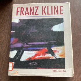 Franz Kline 弗朗兹·克莱因 美国抽象表现主义画家英文原版艺术图书   精装