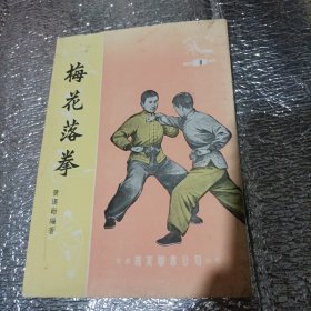 螳螂拳 梅花落拳 原版