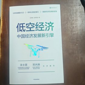低空经济：中国经济发展新引擎