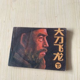 大刀飞龙（下）