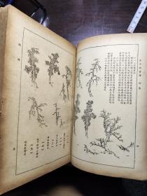 民国旧书206-2         《芥子园画谱》