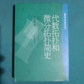 代数拓扑和微分拓扑简史