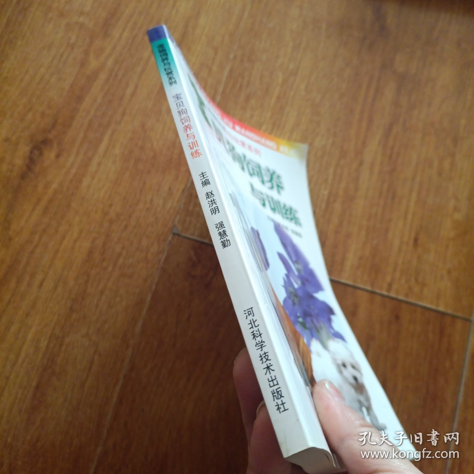 宝贝狗饲养与训练