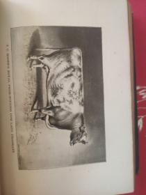 Short-Horn Cattle【民国国立东南大学（1920-1927）馆藏书。孟芳图书馆藏书票一枚】穆藕初捐赠铃印本