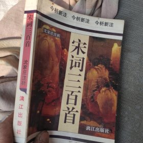 宋词三百首:今析新注