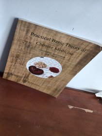 实用中医学基础 = Practical Basic Theory of Chinese Medicine