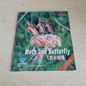 Moth and Butterfly 飞蛾和蝴蝶