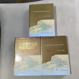 大亚湾核电站系统及运行.上中下共3册