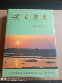 安丘县志 库存书 自然旧 未翻阅 后书衣有割裂.