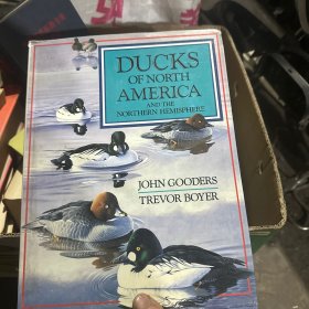 Ducks of North America