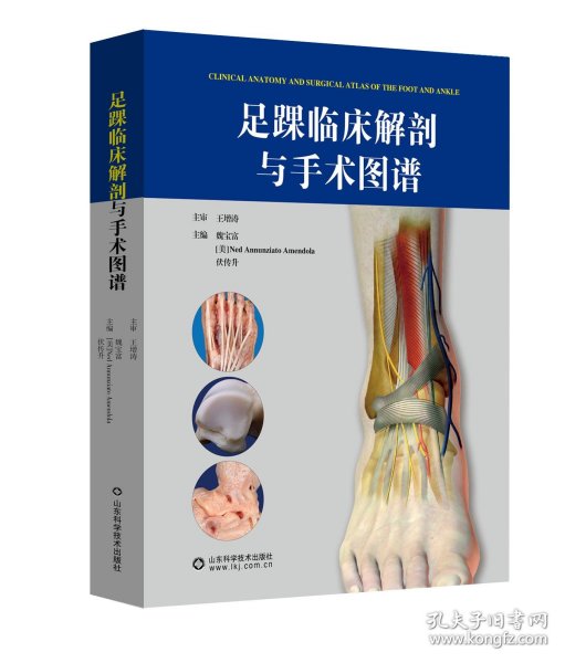 足踝临床解剖与手术图谱(精)