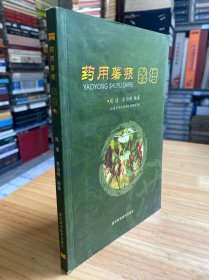 藥用薯蕷栽培.