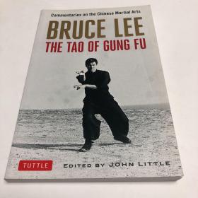 The Tao of gung fu