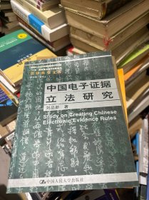 中国电子证据立法研究