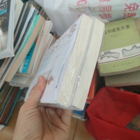 金雀花王朝 上下
