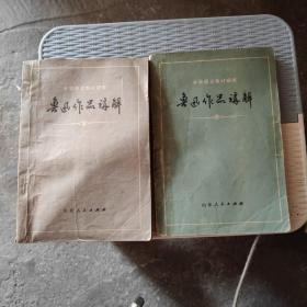 鲁迅作品讲解 上下