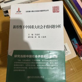 当前重大理论与现实问题研究丛书：新形势下中国重大社会矛盾问题分析