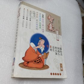 智囊（上）